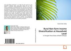 Couverture de Rural Non-farm Income Diversification at Household Level