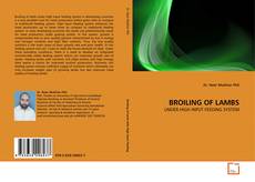 Copertina di BROILING OF LAMBS