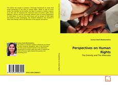Обложка Perspectives on Human Rights