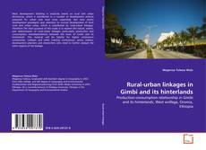 Rural-urban linkages in Gimbi and its hinterlands kitap kapağı