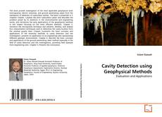 Couverture de Cavity Detection using Geophysical Methods