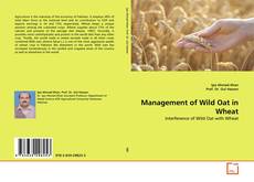 Couverture de Management of Wild Oat in Wheat