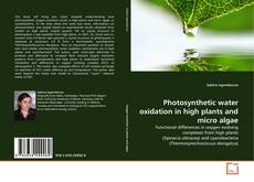 Couverture de Photosynthetic water oxidation in high plants and micro algae