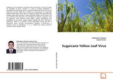 Copertina di Sugarcane Yellow Leaf Virus