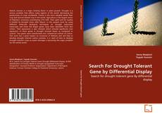 Bookcover of Search For Drought Tolerant Gene by Differential Display