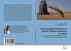Copertina di Cross-sectional Anatomy of wheat (Triticum aestivum L.) culms
