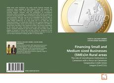 Couverture de Financing Small and Medium sized Businesses (SMEs)in Rural areas