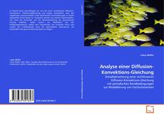 Portada del libro de Analyse einer Diffusion-Konvektions-Gleichung