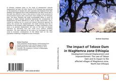 Copertina di The impact of Tekeze Dam in WagHemra zone Ethiopia