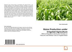 Capa do livro de Maize Production under Irrigated Agriculture 