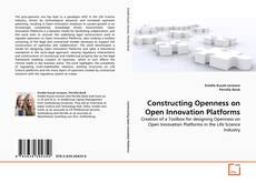 Capa do livro de Constructing Openness on Open Innovation Platforms 