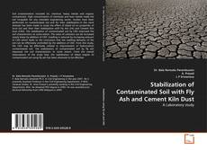 Couverture de Stabilization of Contaminated Soil with Fly Ash and Cement Kiln Dust