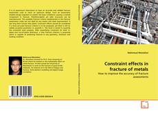 Обложка Constraint effects in fracture of metals