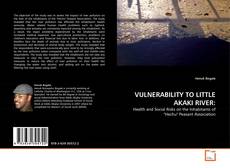 Copertina di VULNERABILITY TO LITTLE AKAKI RIVER: