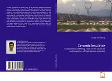 Buchcover von Ceramic insulator