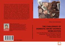 Copertina di THE CHALLENGES OF DOMESTIC MICRO SAVINGS MOBILIZATION