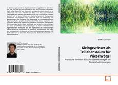 Kleingewässer als Teillebensraum für Wiesenvögel kitap kapağı