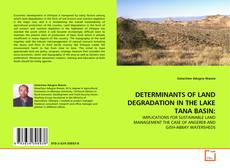 Copertina di DETERMINANTS OF LAND DEGRADATION IN THE LAKE TANA BASIN: