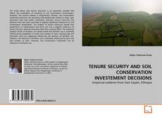 Bookcover of TENURE SECURITY AND SOIL CONSERVATION INVESTEMENT DECISIONS