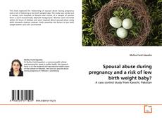 Buchcover von Spousal abuse during pregnancy and a risk of low birth weight baby?