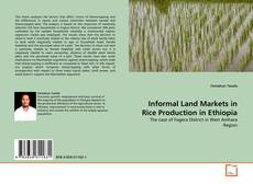 Buchcover von Informal Land Markets in Rice Production in Ethiopia