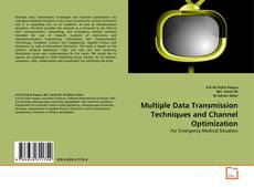 Bookcover of Multiple Data Transmission Techniques and Channel Optimization