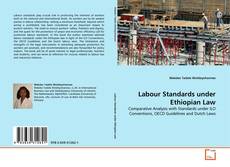 Buchcover von Labour Standards under Ethiopian Law