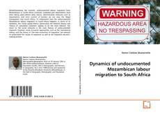 Buchcover von Dynamics of undocumented Mozambican labour migration to South Africa