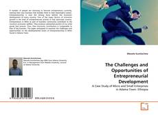 Bookcover of The Challenges and Opportunities of Entrepreneurial Development