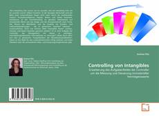 Couverture de Controlling von Intangibles