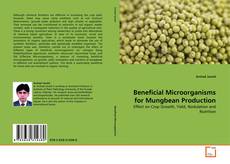 Beneficial Microorganisms for Mungbean Production kitap kapağı