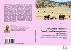 Capa do livro de Household Resource Scarcity and Management in Ethiopia 