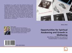 Buchcover von Opportunities for Spiritual Awakening and Growth in Mothering