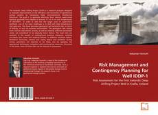 Bookcover of Risk Management and Contingency Planning for Well IDDP-1