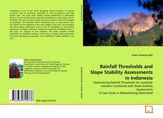 Buchcover von Rainfall Thresholds and Slope Stability Assessments in Indonesia