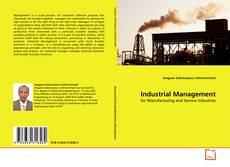 Buchcover von Industrial Management