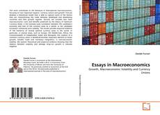 Bookcover of Essays in Macroeconomics