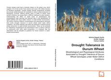 Buchcover von Drought Tolerance in Durum Wheat