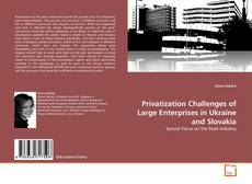 Capa do livro de Privatization Challenges of Large Enterprises in Ukraine and Slovakia 