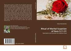 Capa do livro de Ritual of Marital Suspicion of Num 5:11-31 