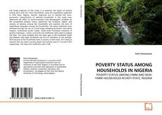 Bookcover of POVERTY STATUS AMONG HOUSEHOLDS IN NIGERIA