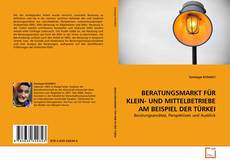 Capa do livro de BERATUNGSMARKT FÜR KLEIN- UND MITTELBETRIEBE AM BEISPIEL DER TÜRKEI 
