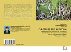 Copertina di CHROMIUM AND SILKWORM