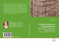 Bookcover of Zustandsanalyse von Uferpfahlwänden