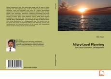 Micro-Level Planning的封面