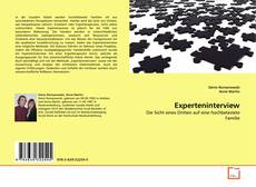 Portada del libro de Experteninterview