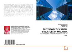 THE THEORY OF CAPITAL STRUCTURE IN MALAYSIA kitap kapağı