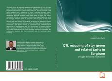 Copertina di QTL mapping of stay green and related tarits in Sorghum