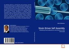 Copertina di Strain Driven Self Assembly