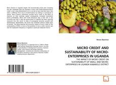 Borítókép a  MICRO CREDIT AND SUSTAINABILITY OF MICRO-ENTERPRISES IN UGANDA - hoz